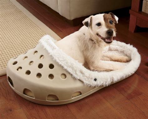 Croc bed. Things To Know About Croc bed. 